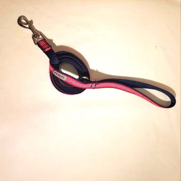 WoRTHY DoG Dog Worthy Dog Leash Anchor Poshmark